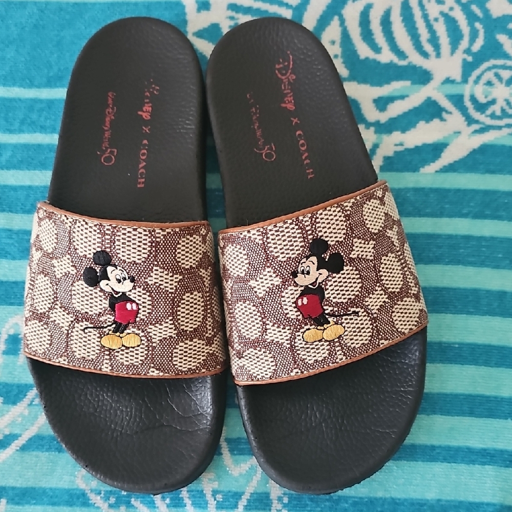 Women Brown Slide Sandals COACH